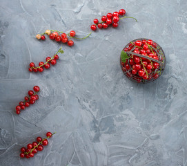 Fresh red currants in tiny metal vintage basket on grey background top view.