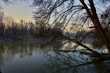 Obraz premium Amazing lanscape Danubian floodplain at sunrise, Malinovo, Slovakia, Europe