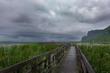 Fototapeta premium Wooden Bridge in lotus lake at khao sam roi yod national park, thailand 