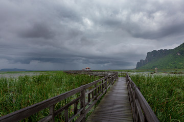 Wooden Bridge in lotus lake at khao sam roi yod national park, thailand 