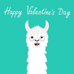 Happy Valentines Day. Llama alpaca animal face looking up. No drama. Cute cartoon funny kawaii smiling character. Childish baby collection. Love greeting card. Flat design. Green background.