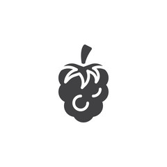 Raspberry fruit vector icon. filled flat sign for mobile concept and web design. Raspberry berry food simple glyph icon. Symbol, logo illustration. Pixel perfect vector graphics