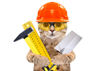 Portrait of a builder cat with tools in  paws isolated on white background