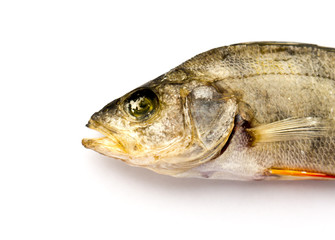 Dried Fish.