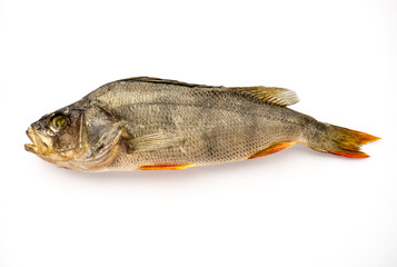 Dried Fish.