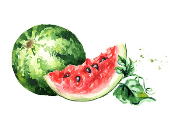Whole and slices ripe watermelon with green leaves. Watercolor hand drawn illustration, isolated on white background - obrazy, fototapety, plakaty