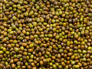 Green bean or mung bean background