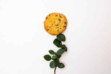 Flower composition made from cookie and branch with the leaves