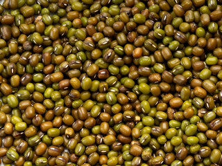 Green bean or mung bean background