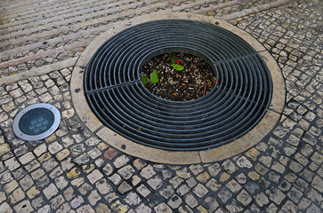 Fototapeta na wymiar Round grille to protect the roots of the tree, street lighting a