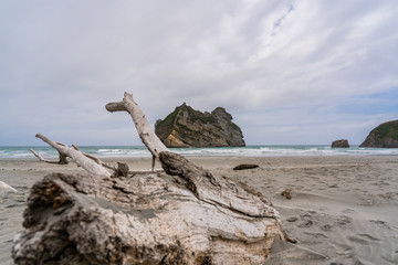 Fototapeta na wymiar Wharariki Beach, Golden Bay, Rippled Sand and rock formations at Wharariki Beach, Nelson, North Island, New Zealand