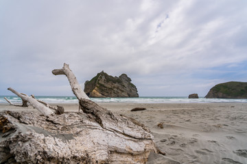 Wharariki Beach, Golden Bay, Rippled Sand and rock formations at Wharariki Beach, Nelson, North Island, New Zealand
