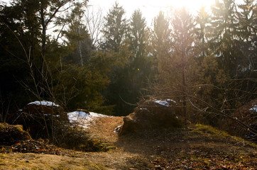 beautiful winter mountain landscape