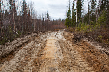 Dirty clay road in the forest