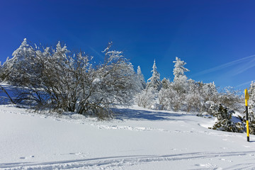 Winter landscape of Vitosha Mountain, Sofia City Region, Bulgaria