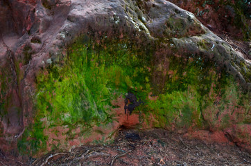 beautiful winter mountain landscape