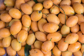 Plum Mango in the market.