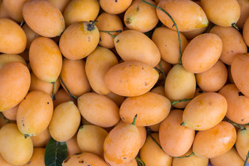 Plum Mango in the market.