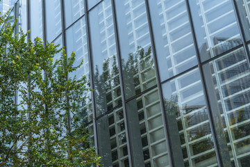 Obraz na płótnie Canvas modern office building with green trees.
