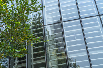 modern office building with green trees.