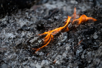 Fire