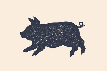 Pig, piggy. Concept design of farm animals
