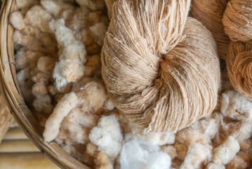 White cotton from dry kapok fruit in  bucket.