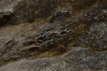 beautiful winter mountain landscape