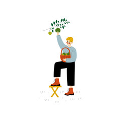 Young Man Picking Apples From Tree, Guy Working in Garden or Farm Vector Illustration