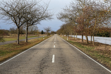 Direct road to the fields in the countryside