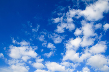 Fototapeta premium 青空