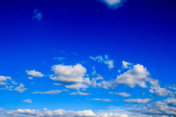 Fototapeta premium 青空
