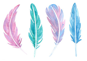 Watercolor feathers isolated on white background