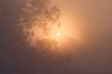 зимний рассвет в тумане в рамке из веток в иние