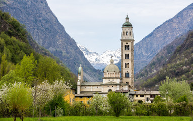 Santuario della Madonna di Tirano - Tirano, Italy - obrazy, fototapety, plakaty