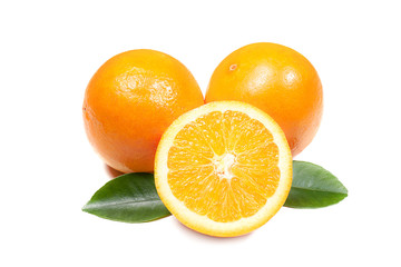 Pomarańcze na białym tle