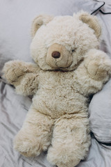 plush teddy bear