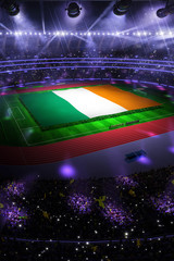 people hold Ireland flag in stadium arena. field 3d photorealistic render