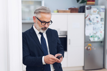 Handsome bearded man texting on mobile at home