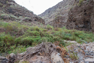barranco del infierno tenerife canarias