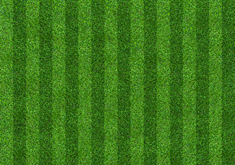 Green grass field background for soccer and football sports. Green lawn pattern and texture...