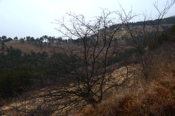 beautiful winter mountain landscape