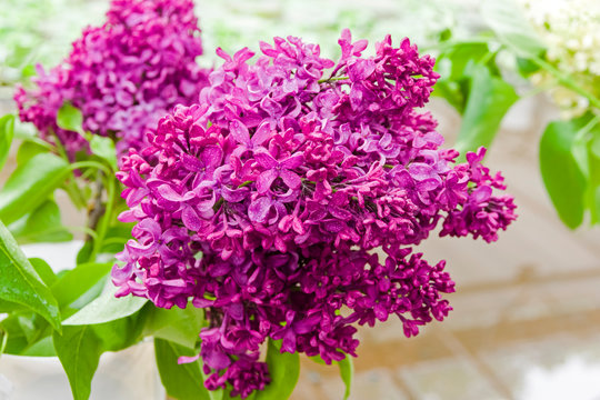 Beautiful bouquet of lilac