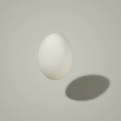 White egg in the air with a shadow, on a colored background. Morning mood.