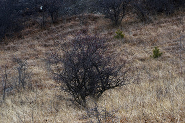 beautiful winter mountain landscape