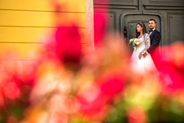Wedding couple posing in front of door through the red roses