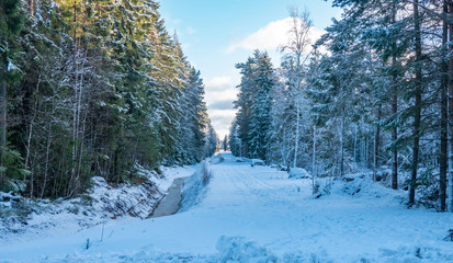 Fototapeta na wymiar winter landscape in estonia europe