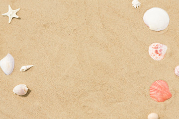 vacation and summer holidays concept - seashells on beach sand