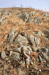 Rock stones covered with lichen surrounded by yellow autumn grass on gentle hills in Khakassia, Russia