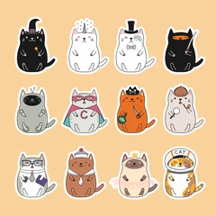 Wall murals Illustrations Set of kawaii stickers with fat cats, unicorn, sailor, pirate, witch, princess, superhero, astronaut, detective, ninja. Isolated objects Hand drawn vector illustration Design concept kids print